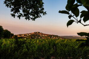 Vignoble Sancerre